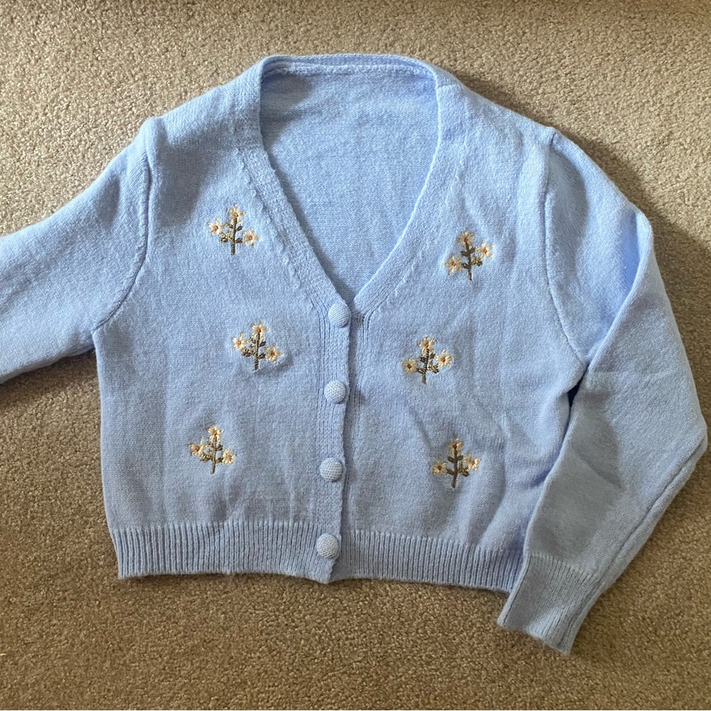 Blue sweater